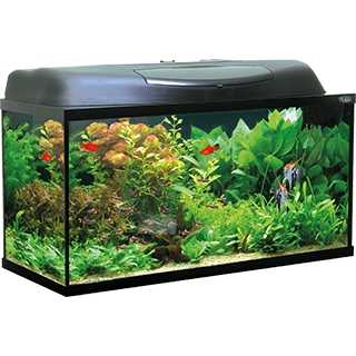 Obrázok pre kategóriu Aquael skleněná akvária