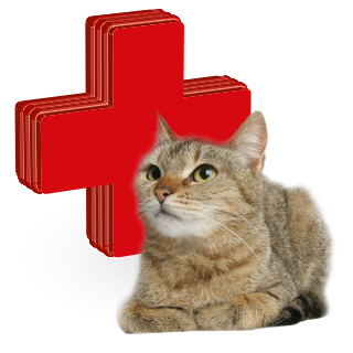 Obrázok pre kategóriu vitamíny, léčiva pro kočky