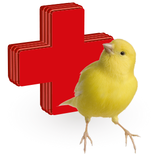 Obrázok pre kategóriu vitamíny, léčiva pro ptáky