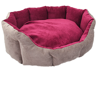Picture for category beds foam