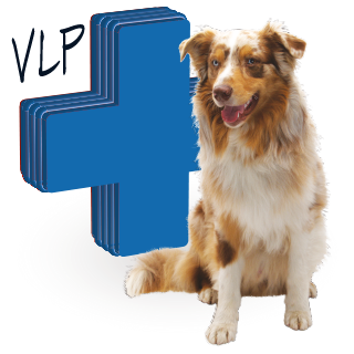 Obrázok pre kategóriu antiparazitika (VLP) pro psy