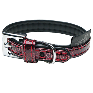 Picture for category collars leather, leather
