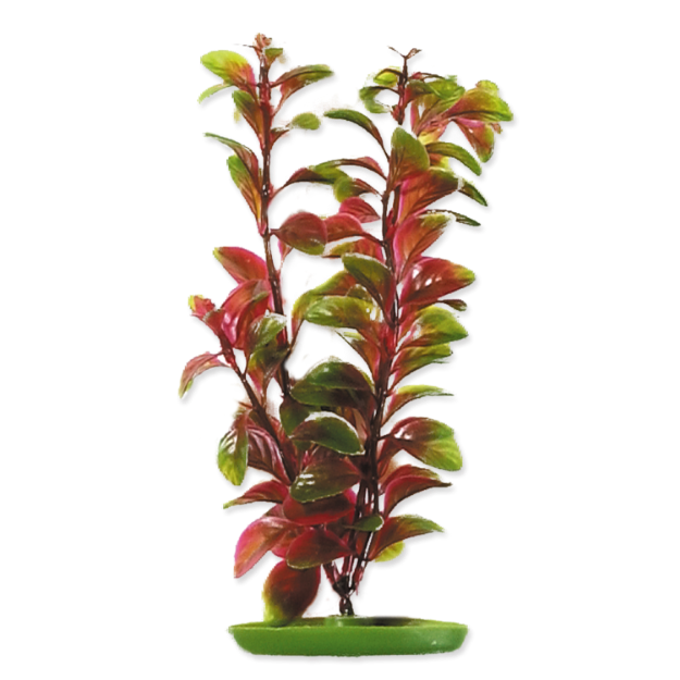 Picture of Rostlina LIVING WORLD Red Ludwigia 30 cm 
